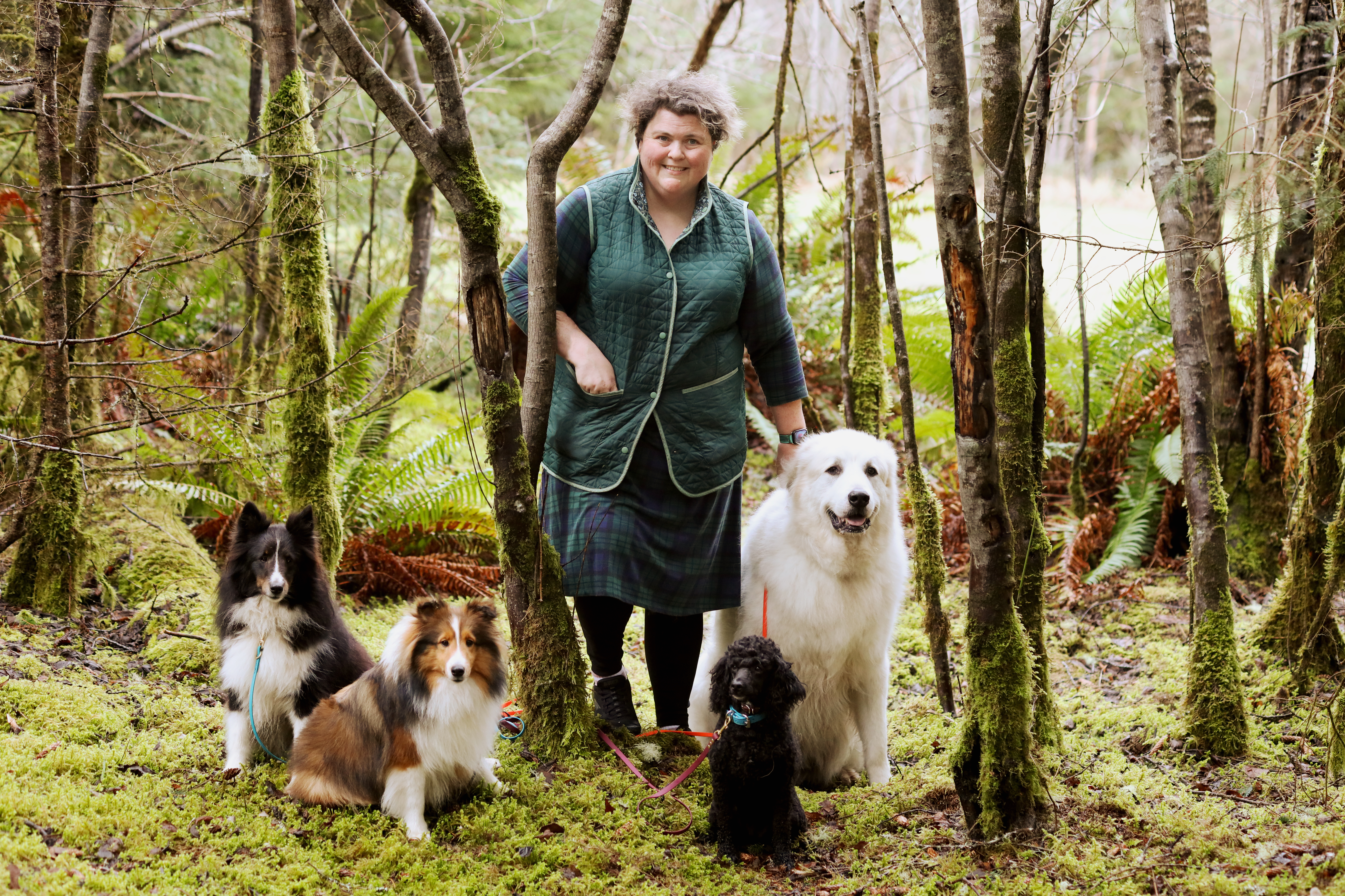 One trainer and a variety of purebred dogs including a poodle, sheltland sheepdogs and a great pyrenees